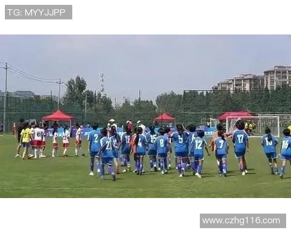 追忆绿茵场上的传奇离去者那些曾闪耀的足球明星名字