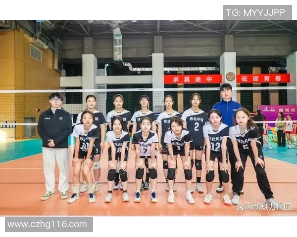 排球实力排名：南京排球队创新高